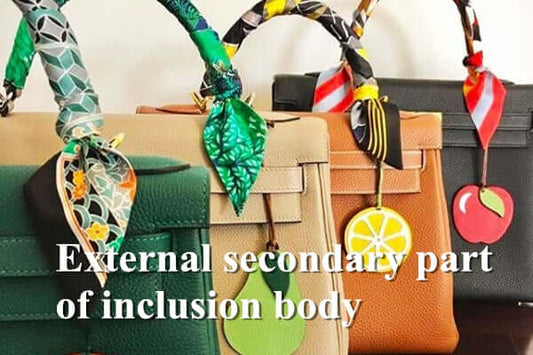 External Secondary Part of Inclusion Body - Handle