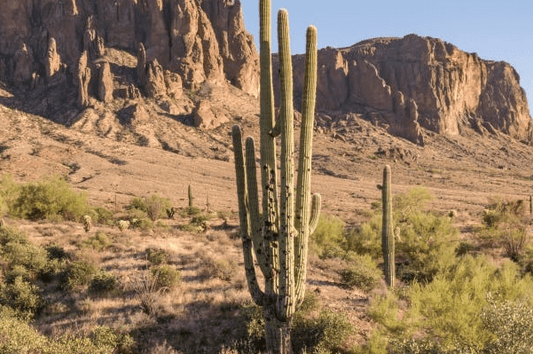 Tips for Better Desert Hiking