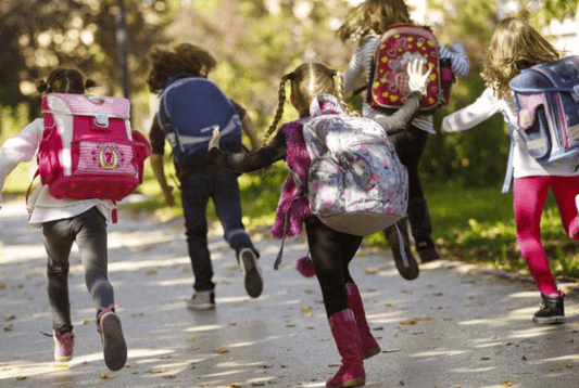 What are the types of school bags？