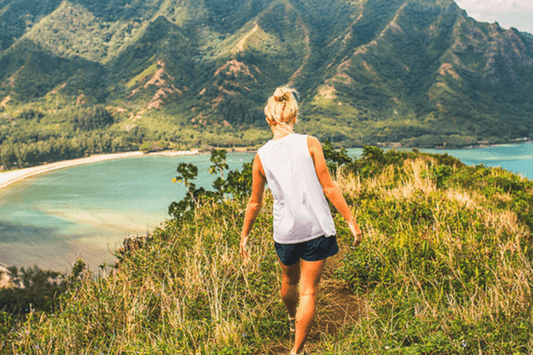 How to Plan Your Dream Vacation?