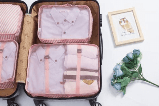 How to choose luggage for business trip?