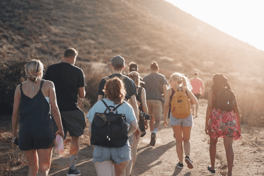 How to Choose the Right Group Tour