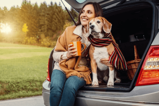 Tips for traveling with pets