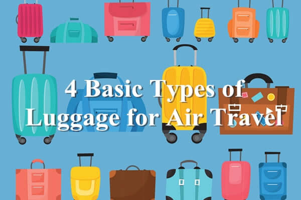 Basic Luggage 4 Basic Types of Luggage for Air Travel