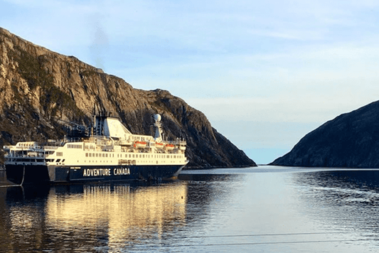 5 Reasons To Go On An Expedition Cruise